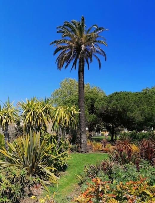 Charmant Studio Renove A Antibes, Plage A 10 Min A Pied Buitenkant foto